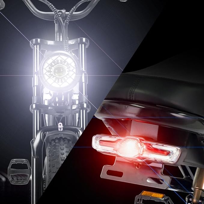 YVY C20Pro 2000W Fat Tire Electric Bicycle